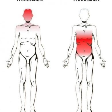 This shows the outline of two bodies. One has the head highlighted red, the other has the gut highlighted red