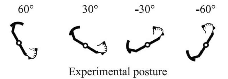 This is a diagram of different arm positions