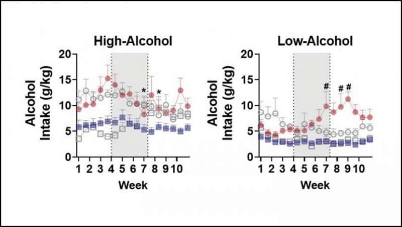 This shows graphs from the study