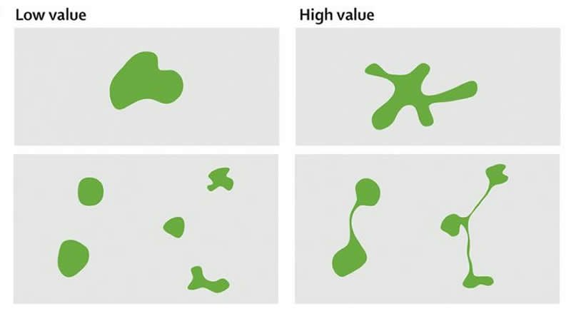 This is a drawing of different shaped parks