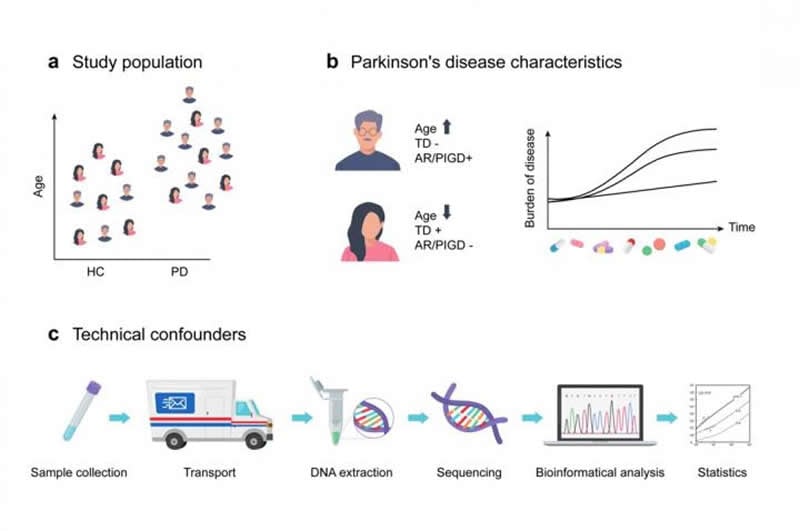 This shows a diagram from the study