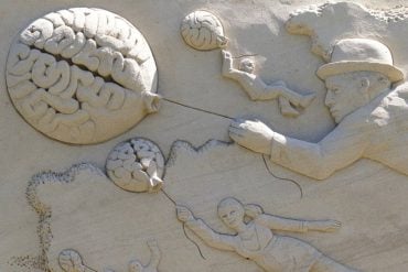 This shows brains built in sand