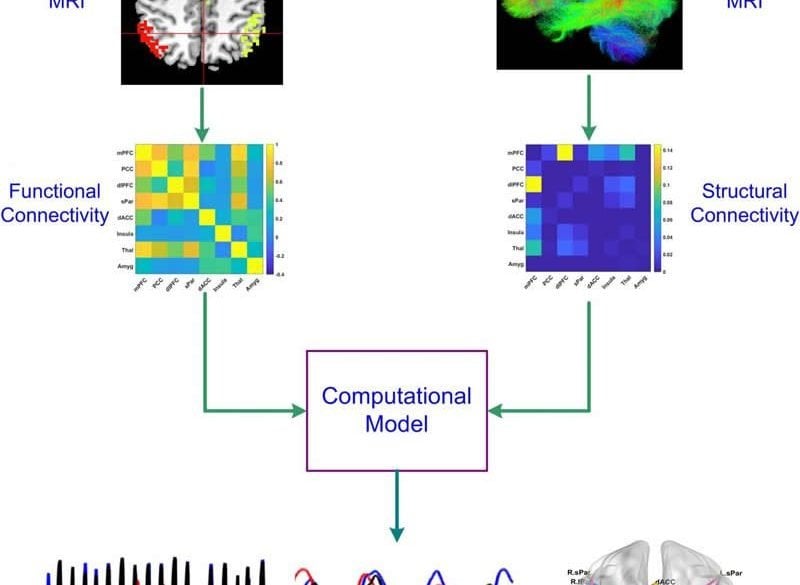 This is a diagram from one of the studies