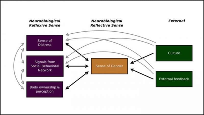 gender identity disorder symptoms