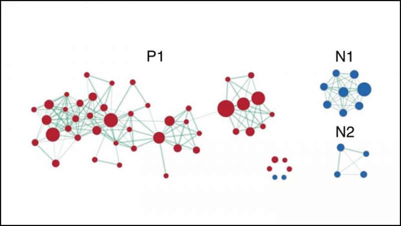 This shows a neural network