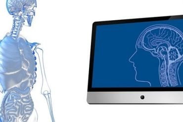 This shows a skeleton and a computer screen with a brain on it