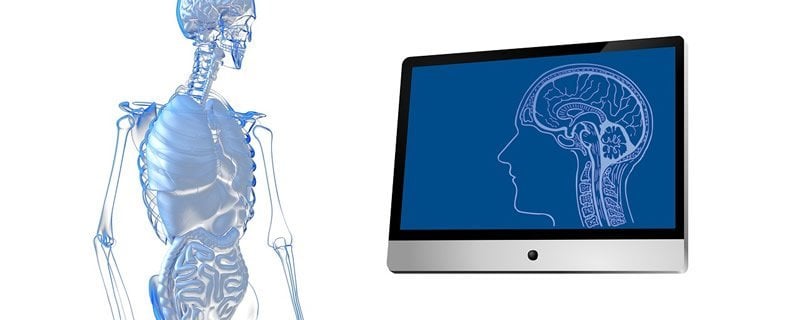 This shows a skeleton and a computer screen with a brain on it