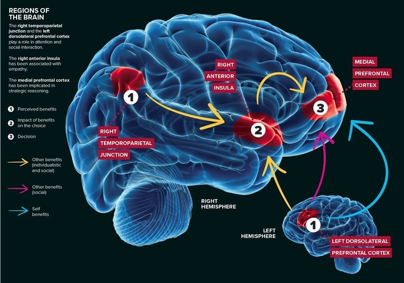 Sense of Self: The Brain Structure That Holds Key to I - Neuroscience News