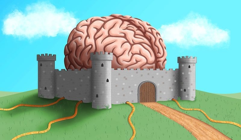 This is a drawing of a brain in a castle
