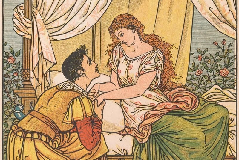 This is a drawing from a Sleeping Beauty book
