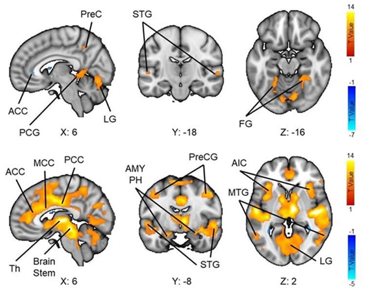 Horror movies manipulate brain activity expertly to enhance excitement -  Neuroscience News