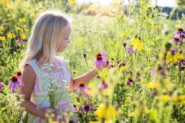 This shows a little girl in a field of flowers