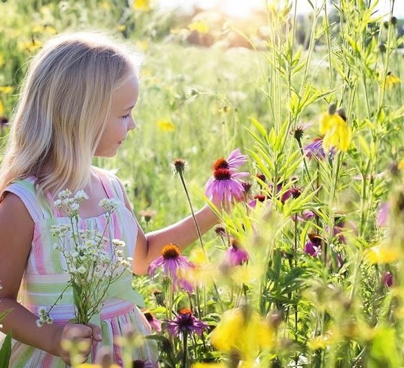 This shows a little girl in a field of flowers