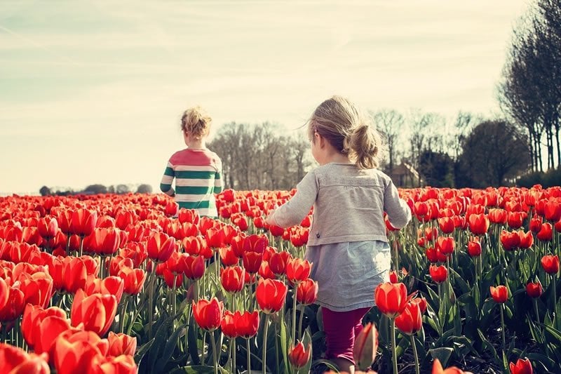 This shows two girls in a tulip field