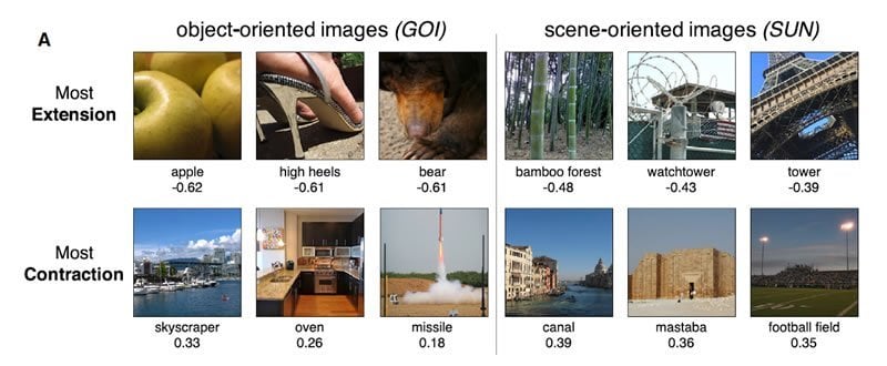 This shows images from the study