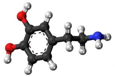 This shows the chemical structure of dopamine