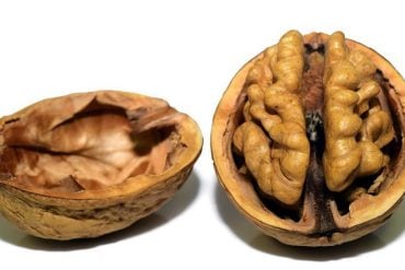 This shows a walnut