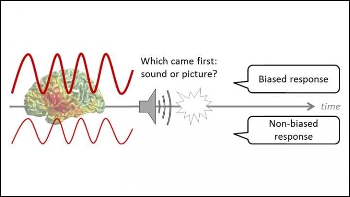 This is a diagram from the study