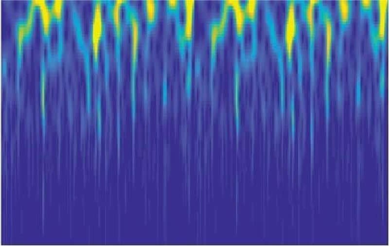 This shows the firing patterns of the neurons