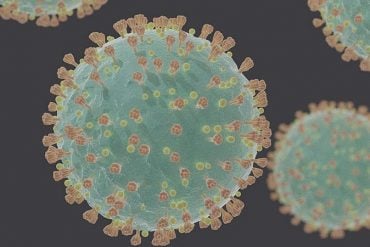This shows the covid-19 virus