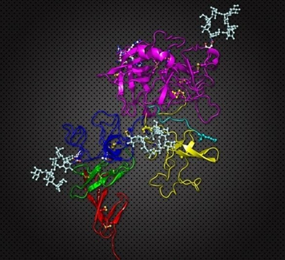 This shows the drug molecule