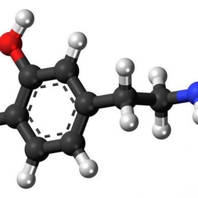 This shows the structure of dopamine