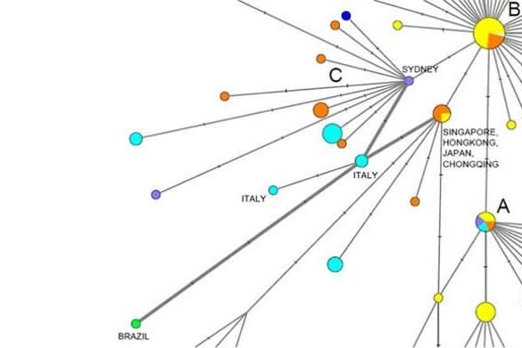 This shows the network map