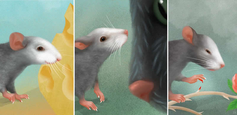 This shows three different facial expression of the mice