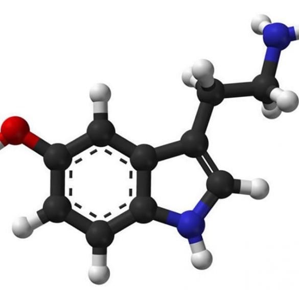 This shows serotonin