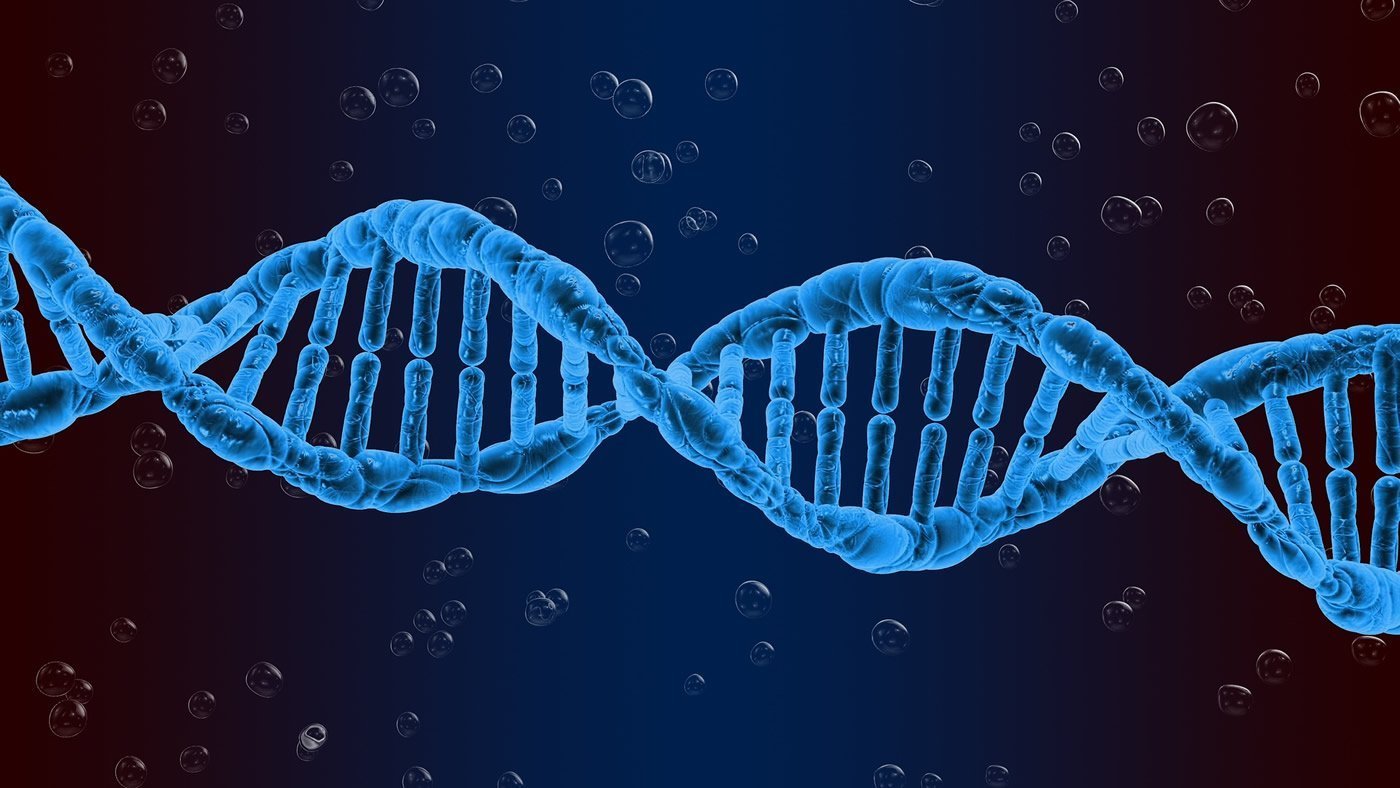 This shows dna