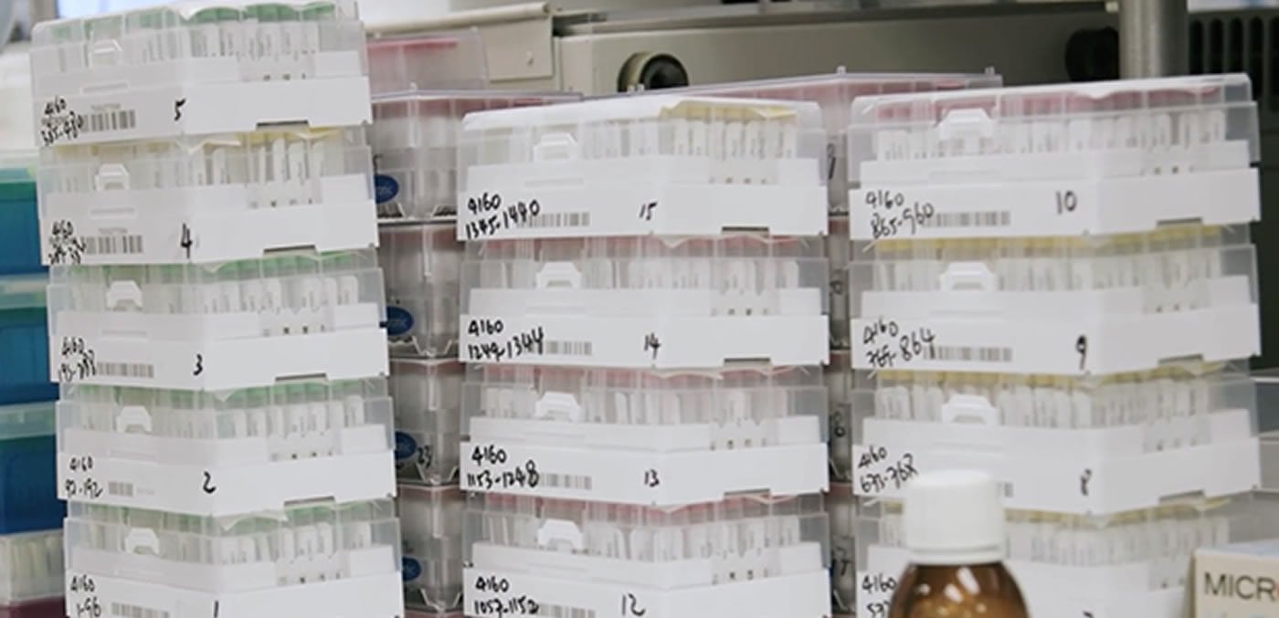 This shows boxes of samples
