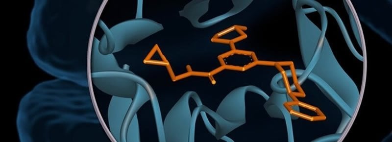 This shows the chemical structure of anandamine