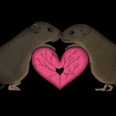 This is a drawing of two voles hugging over a heart