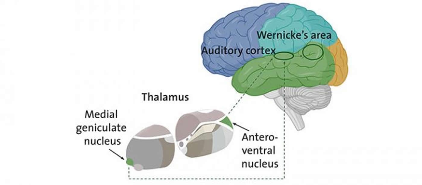 schizophrenia auditory hallucinations