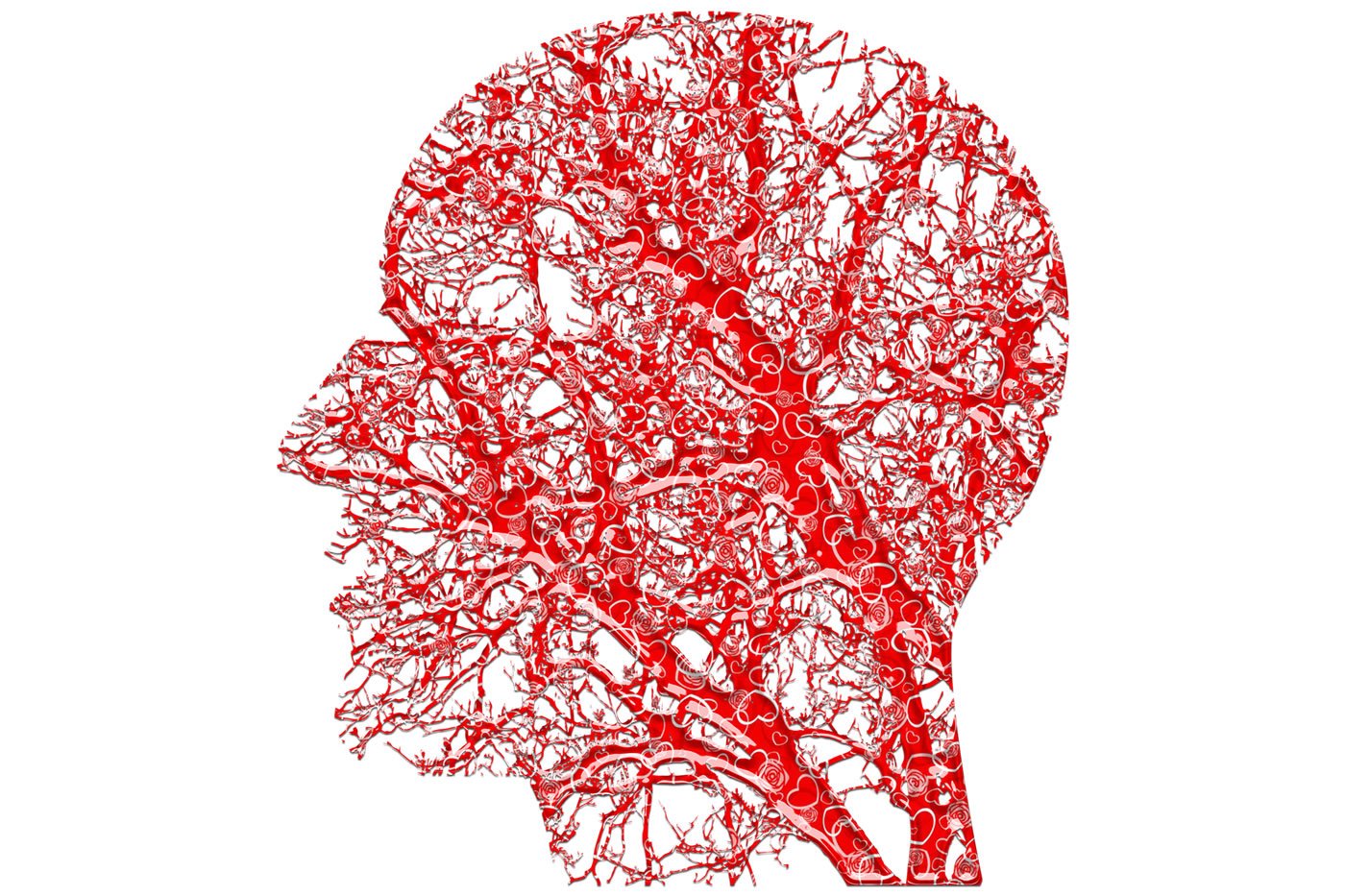 Questo mostra una testa fatta di vasi sanguigni
