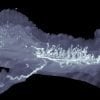 This shows the neurons in the gut