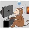This shows a monkey at a computer screen