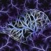 This shows a brain and neurons
