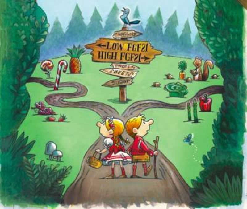 This shows a cartoon of people on a cross roads