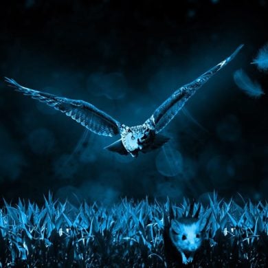 This shows a mouse fleeing from an owl