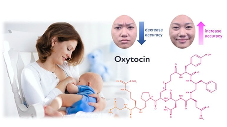 This shows a breastfeeding mom and the structure of oxytocin