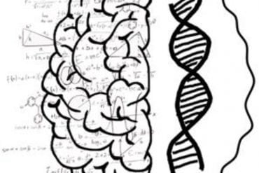 This shows a brain, numbers and dna
