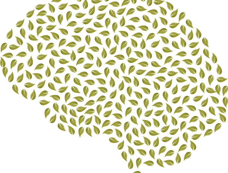 This shows a brain made of leaves