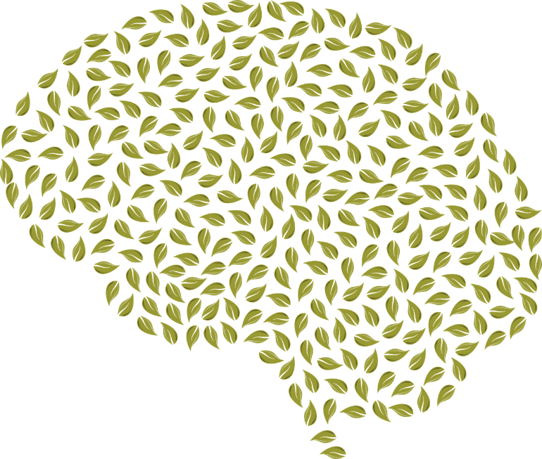 This shows a brain made of leaves