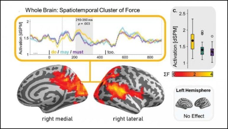 This shows brain scans from the study