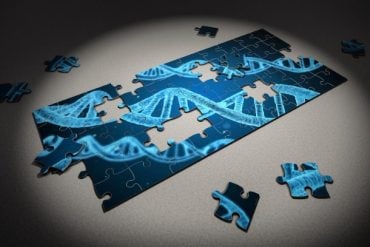 this shows a dna jigsaw