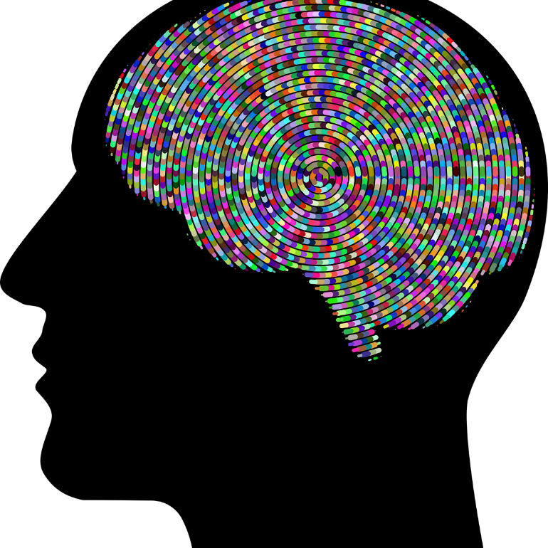 This shows a black outline of a head and a colorful brain