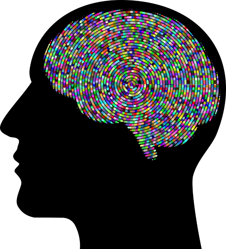 This shows a black outline of a head and a colorful brain