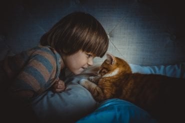 This shows a little boy with a cat