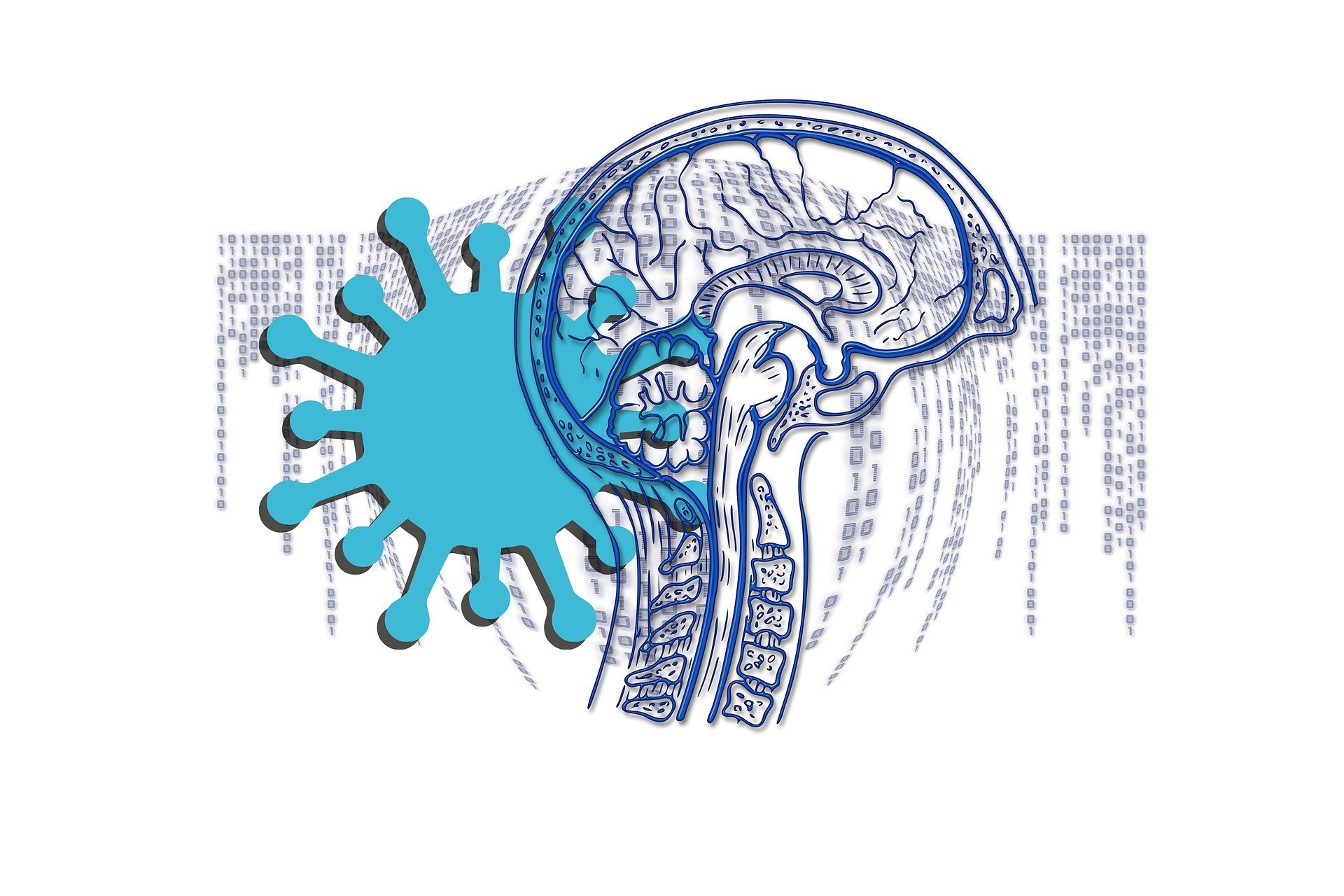 How COVID-19 Is Likely To Impact The Brain - Neuroscience News